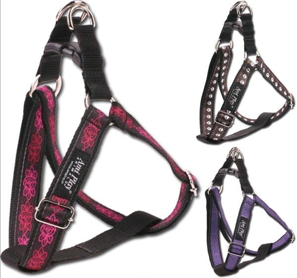 Szelki NX 25-45/2 Rozmiar 3