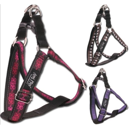 Szelki NX 25-45/2 Rozmiar 3