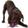 Premier Bouncy Bone Rawhide L (large)