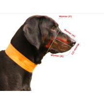 Chopo kaganiec skórzany Nr.1 mały SZPIC PINCZER