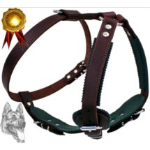 Szelki SECURIT PROF 87-101cm do szkolenia, obrony