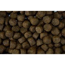 Basic Brok Champ 20kg karma dla psów dorosłych