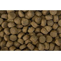 Balance Croc Champ 20kg karma dla psów z Lecytyną