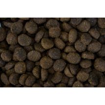 Regular Extra Champ 20kg karma dla psów młodych, a