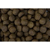 Salmon Rice Champ 20kg karma z łososiem i ryżem