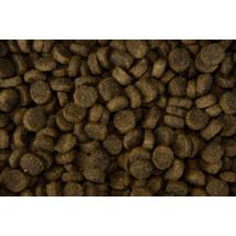 Breed Pup Champ 10kg karma dla szczeniąt, ras mały