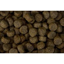 Senior Light Champ 10kg nadwaga po sterylizacji