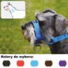 Halter Kantar Obroża uzdowa N3 26-30cm dla psów