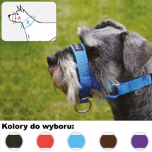 Halter Kantar Obroża uzdowa N5 37-41cm dla psów