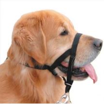 Halter Kantar Obroża uzdowa N6 42-47cm dla psów