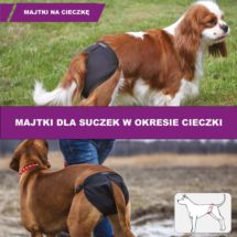 Majtki na cieczkę R4 5 wkładek dla psów średnich C