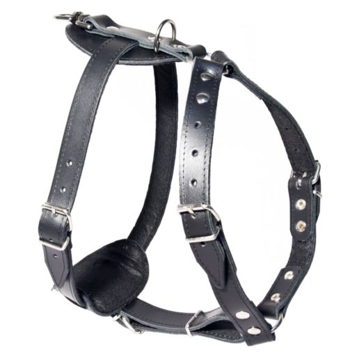 Szelki ze skóry wzmacniane 80 (60-80cm)