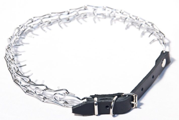 Półkolczatka Rozmiar 2R ze skórzanym zapięciem