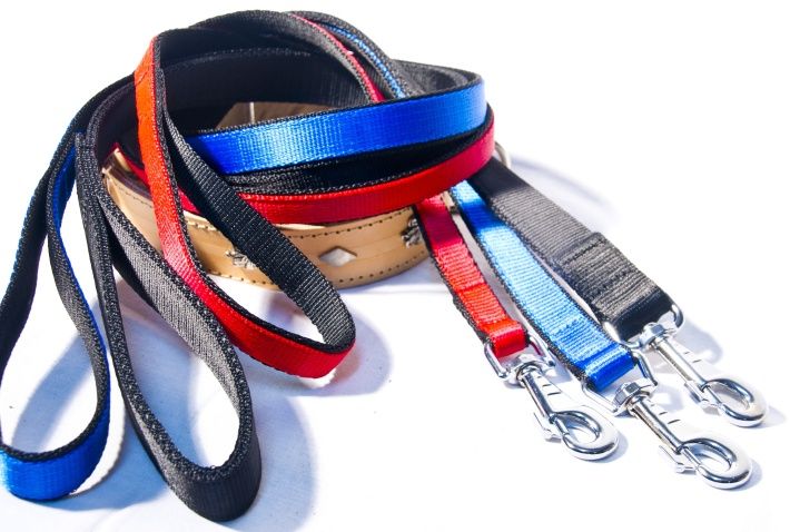 Smycz z Taśmy Podwójnie szytej szer.25mm dł.120cm