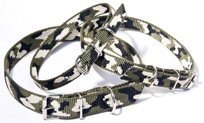 Obroża z taśmy MORO szerokości 20mm, długości 50cm