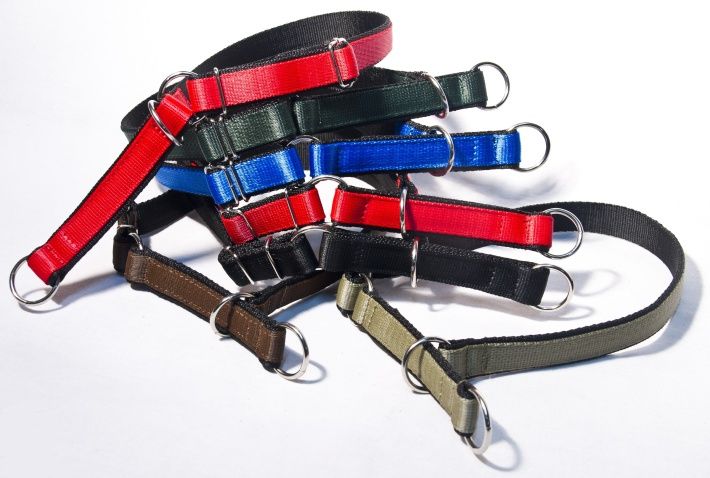 Obroża Półzaciskowa z Taśmy Podwójnej 25mm / 65cm