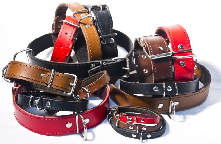 Obroża ze Skóry szer. 40mm długość 55cm