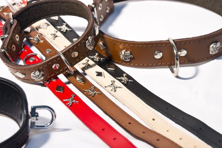 Obroża ze Skóry Zdobiona szer.22mm długość 58cm