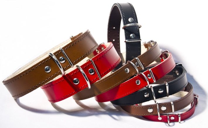 Obroża ze Skóry z Podszewką skórzaną 30mm/55cm