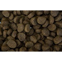 Lamb Rice Champ 10kg karma z jagnięciną i ryżem