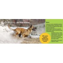 Salmon Oil Champ 1L Olej-Tran z Łososia 100%