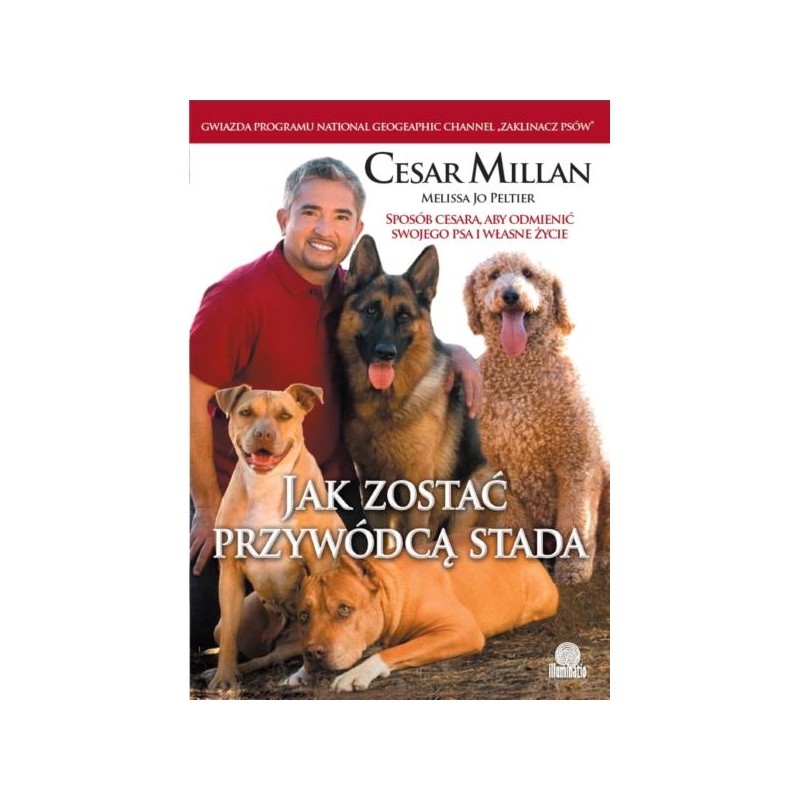 Jak zostać przywódcą stada - Cesar Millan