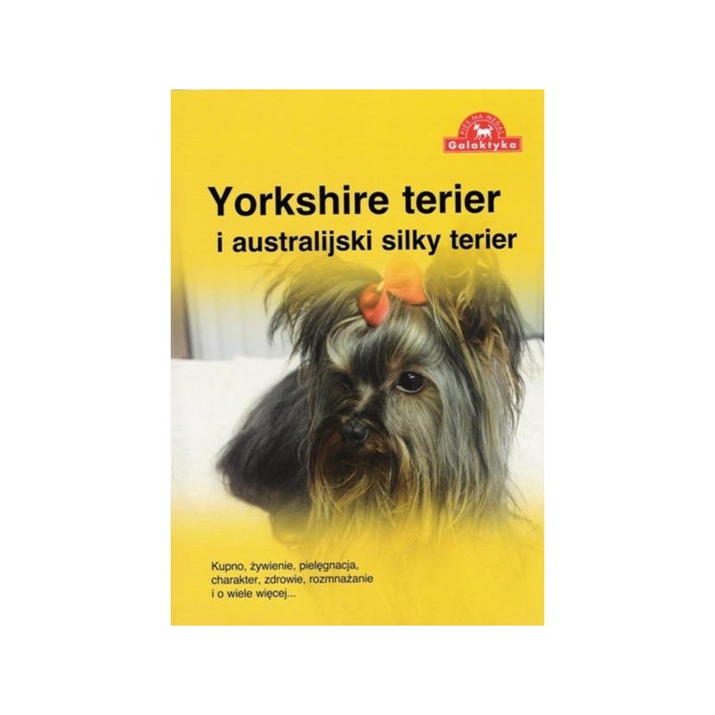 Yorkshire Terier i Australijski Silky Terier