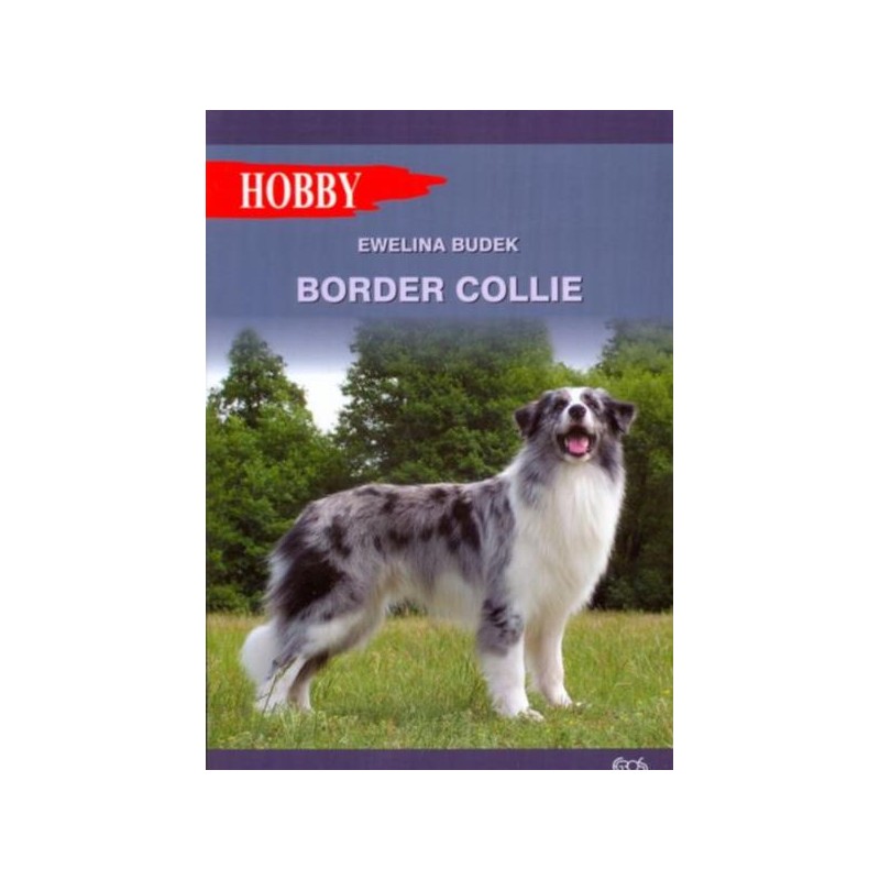 Border Collie Książka