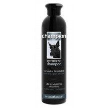 Szampon intensyfikujący kolor czarny 250ml Champio